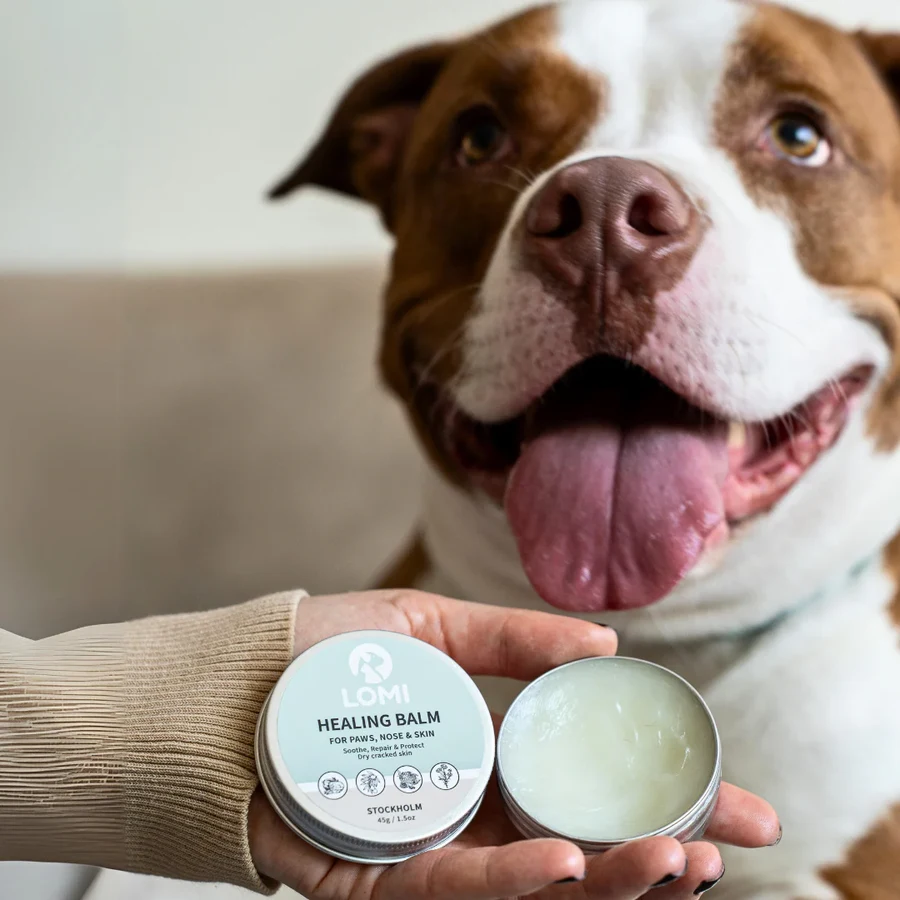 LOMI Healing Balm w dłoni przy psie