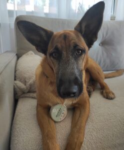 Zdjęcie pupila od Kamil\Roki